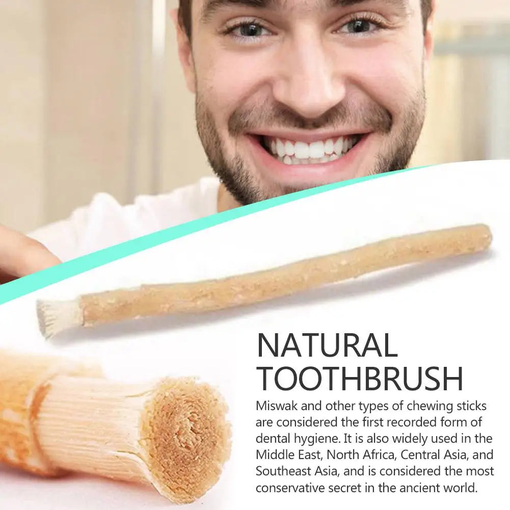 PureMiswak™ – Natural Oral Care Stick 🌿✨