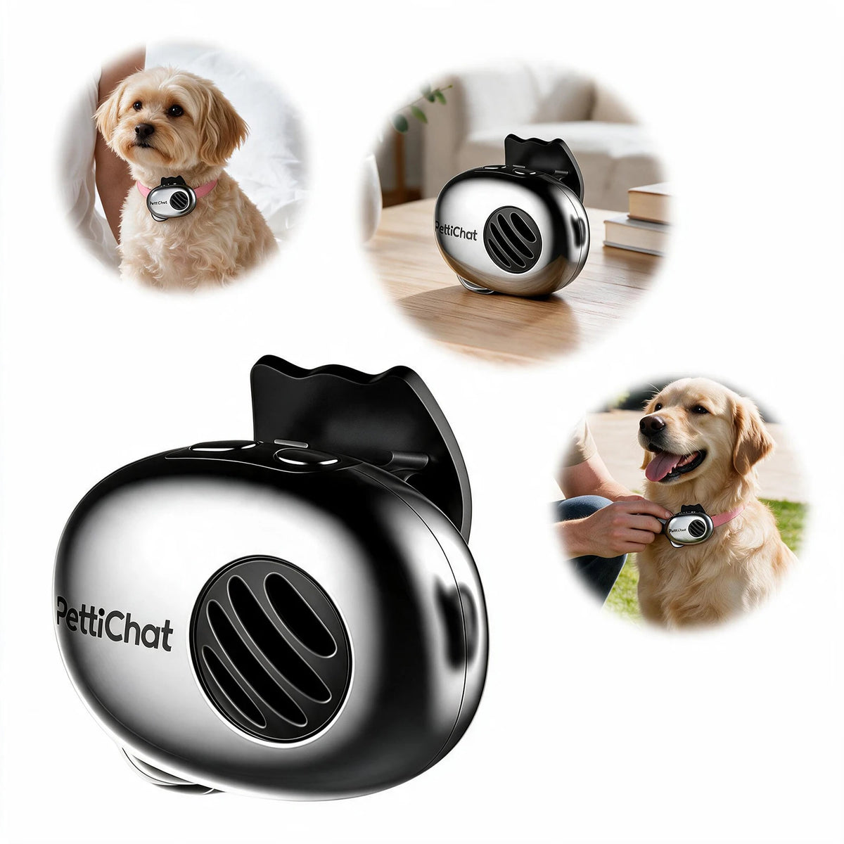 Petti chat pet trnslator