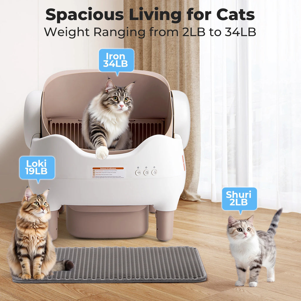 FreshPaws™ – Cat Litter Deodorizer Tablets 🐱✨
