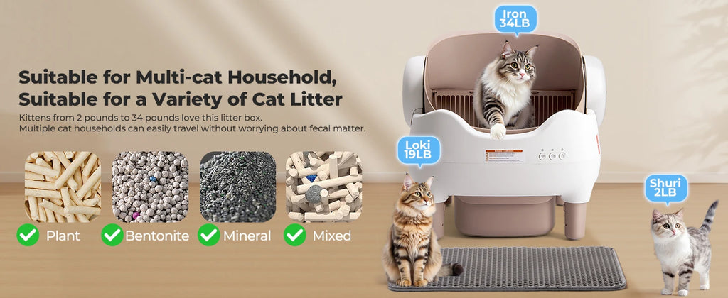 FreshPaws™ – Cat Litter Deodorizer Tablets 🐱✨