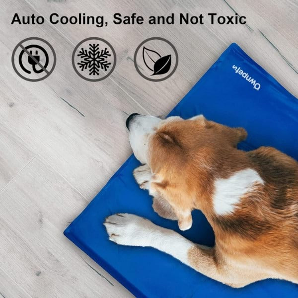CoolNest™ – Cooling Pet Bed 🐾❄️
