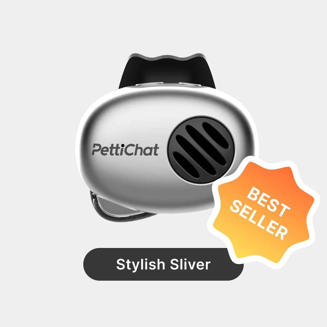 Petti chat pet trnslator
