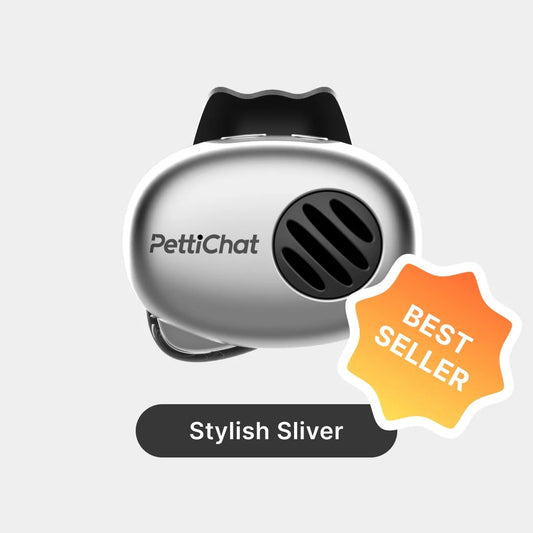 Petti chat pet trnslator