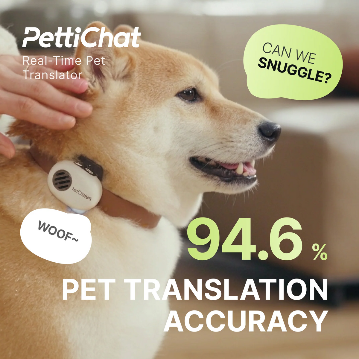 Petti chat pet trnslator