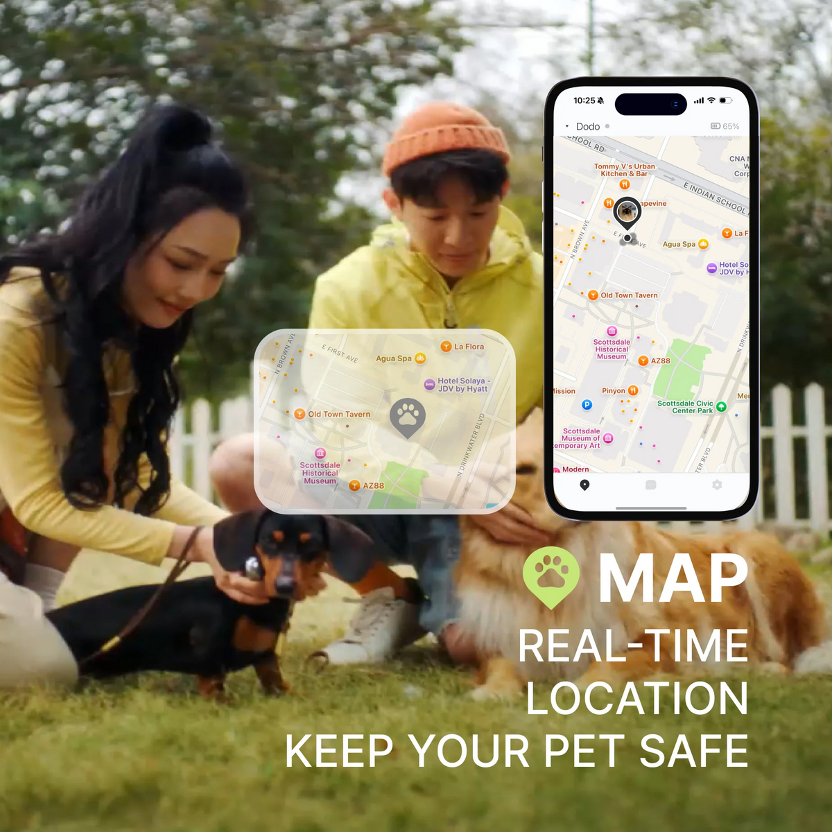 Petti chat pet trnslator