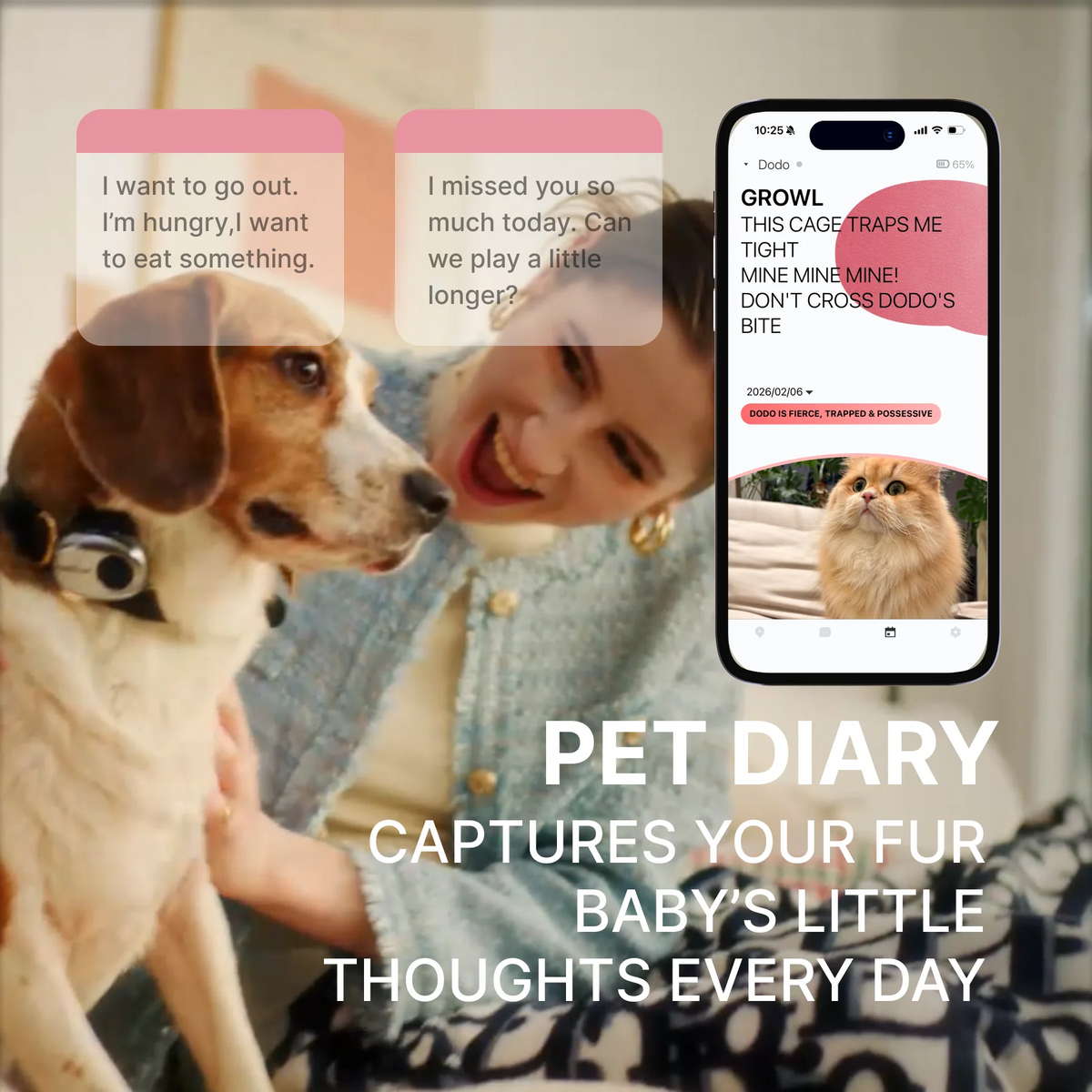 Petti chat pet trnslator